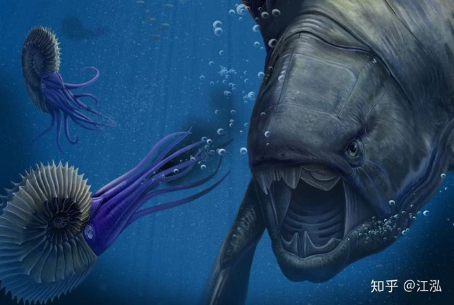 Dunkleosteus — “kẻ hủy diệt” của kỷ Devon: lịch sử, cấu tạo và sức mạnh